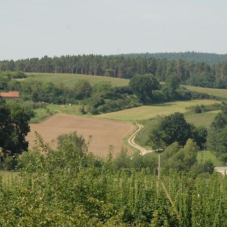 Ferienwohnung Passivhaus "Schoene Aussicht" Georgensgmund ภายนอก รูปภาพ
