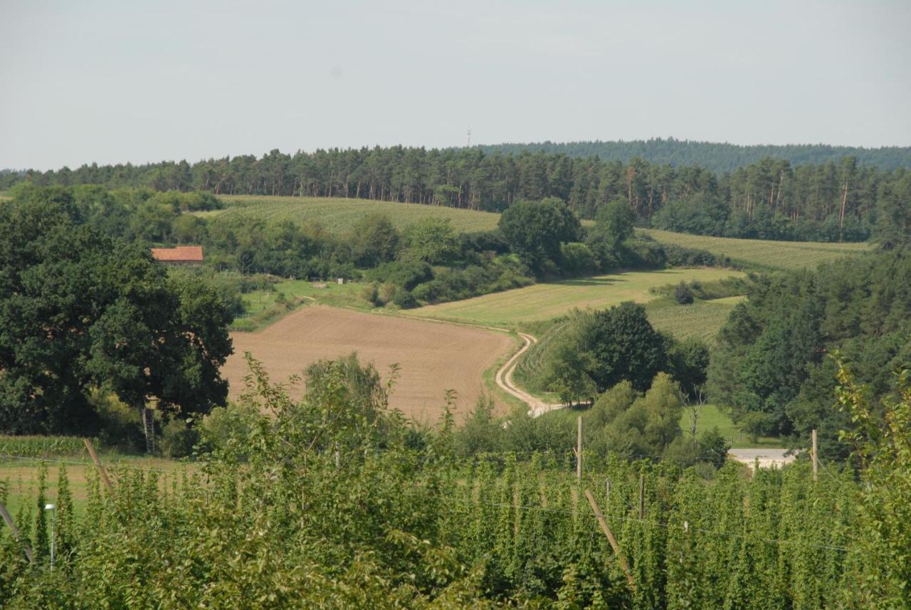 Ferienwohnung Passivhaus "Schoene Aussicht" Georgensgmund ภายนอก รูปภาพ